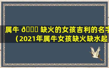 属牛 🐕 缺火的女孩吉利的名字（2021年属牛女孩缺火缺水起名）